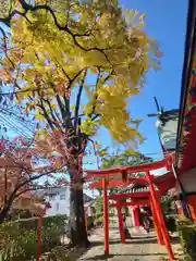 塩屋八幡宮(熊本県)