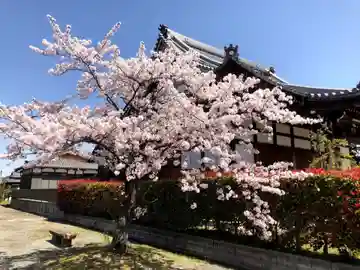 西来寺の本殿・本堂