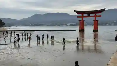 厳島神社(広島県)