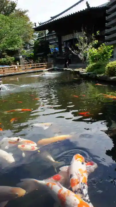 霊山寺(徳島県)
