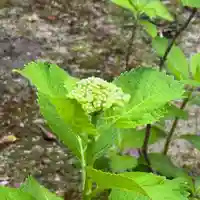 伊勢の国 四天王寺(三重県)