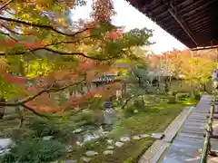 禅林寺（永観堂）(京都府)