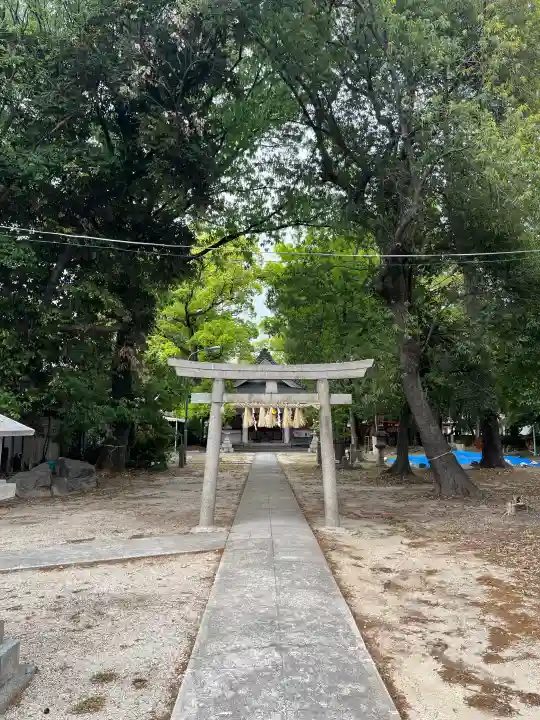 綿神社の{uncategorized: "未分類", other: "その他", undefined: "問題あり", building: "その他建物", grave: "お墓", sacred_gate: "鳥居", guardian: "狛犬", statue: "像", buddha: "仏像", history: "歴史", nature: "自然", garden: "庭園", animal: "動物", pagoda: "塔", temizu: "手水舎", mountain_gate: "山門・神門", sanctuary: "本殿・本堂", subordinate: "末社・摂社", art: "芸術", scenery: "景色", jizo: "地蔵", ema: "絵馬", goshuin: "御朱印", omikuji: "おみくじ", items: "授与品その他", amulet: "お守り", goshuincho: "御朱印帳", eats: "食事", festival: "お祭り", votive_dance: "神楽", shichigosan: "七五三参", wedding: "結婚式", experience: "体験その他", initially: "初詣", around: "周辺", anti_infection: "感染症対策"}