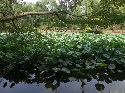 御髪神社の周辺