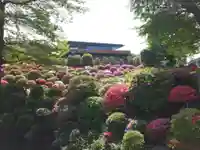 根津神社(東京都)