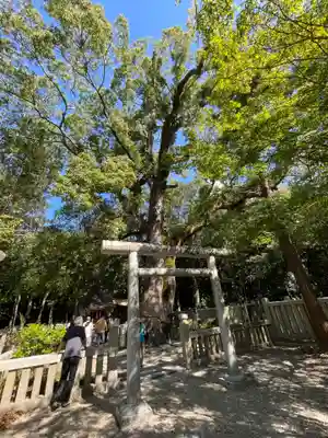 伊弉諾神宮(兵庫県)