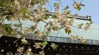 白峯神宮のその他建物