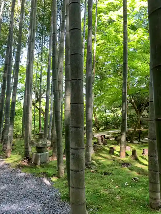 圓光寺のその他建物