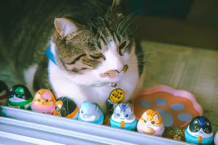 正一位 若草稲荷神社(宮城県)