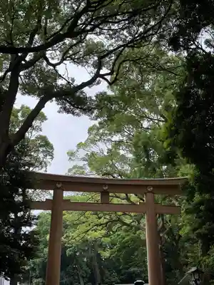 明治神宮(東京都)