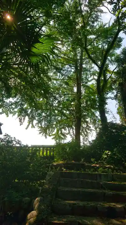 若宮神明社の自然