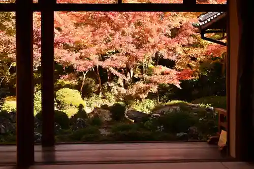 源光庵(京都府)