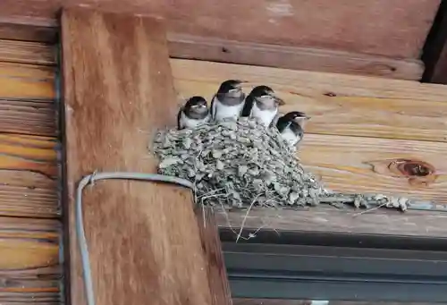 薬師寺(大阪府)