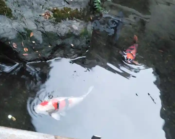 子安神社の庭園