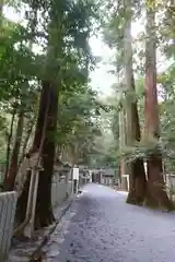 椿大神社(三重県)