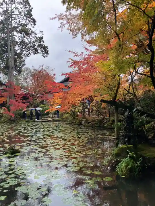 天授庵(京都府)