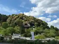 長谷寺本坊 大講堂の{uncategorized: "未分類", other: "その他", undefined: "問題あり", building: "その他建物", grave: "お墓", sacred_gate: "鳥居", guardian: "狛犬", statue: "像", buddha: "仏像", history: "歴史", nature: "自然", garden: "庭園", animal: "動物", pagoda: "塔", temizu: "手水舎", mountain_gate: "山門・神門", sanctuary: "本殿・本堂", subordinate: "末社・摂社", art: "芸術", scenery: "景色", jizo: "地蔵", ema: "絵馬", goshuin: "御朱印", omikuji: "おみくじ", items: "授与品その他", amulet: "お守り", goshuincho: "御朱印帳", eats: "食事", festival: "お祭り", votive_dance: "神楽", shichigosan: "七五三参", wedding: "結婚式", experience: "体験その他", initially: "初詣", around: "周辺", anti_infection: "感染症対策"}