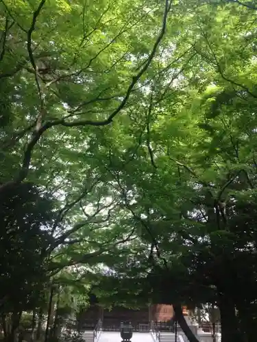 大正寺の庭園