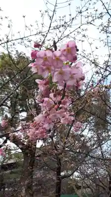 東寺（教王護国寺）(京都府)