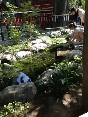 秩父神社のその他建物