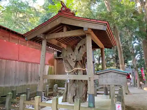 鶴嶺八幡宮の歴史