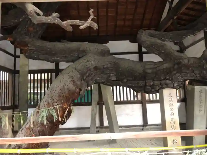 高砂神社の庭園