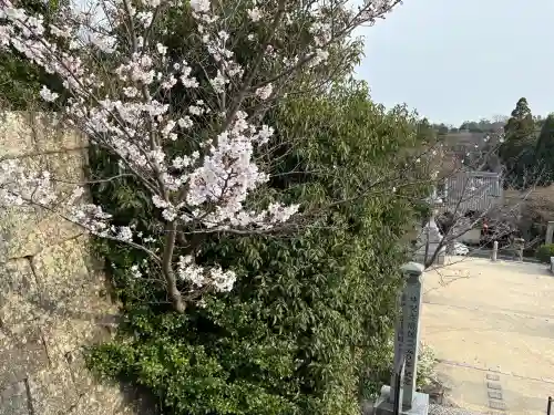 神咒寺の{uncategorized: "未分類", other: "その他", undefined: "問題あり", building: "その他建物", grave: "お墓", sacred_gate: "鳥居", guardian: "狛犬", statue: "像", buddha: "仏像", history: "歴史", nature: "自然", garden: "庭園", animal: "動物", pagoda: "塔", temizu: "手水舎", mountain_gate: "山門・神門", sanctuary: "本殿・本堂", subordinate: "末社・摂社", art: "芸術", scenery: "景色", jizo: "地蔵", ema: "絵馬", goshuin: "御朱印", omikuji: "おみくじ", items: "授与品その他", amulet: "お守り", goshuincho: "御朱印帳", eats: "食事", festival: "お祭り", votive_dance: "神楽", shichigosan: "七五三参", wedding: "結婚式", experience: "体験その他", initially: "初詣", around: "周辺", anti_infection: "感染症対策"}