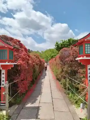 長岡天満宮(京都府)