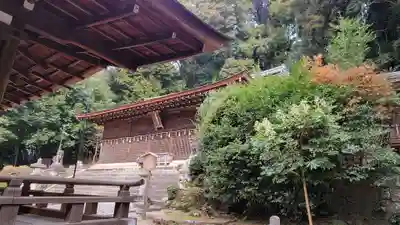 宇治上神社(京都府)