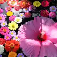 大鏑神社の手水舎
