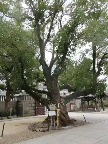 難波神社(大阪府)
