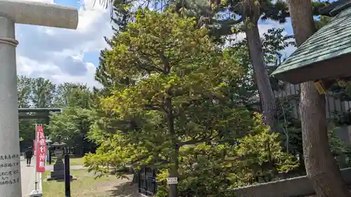 烈々布神社の自然