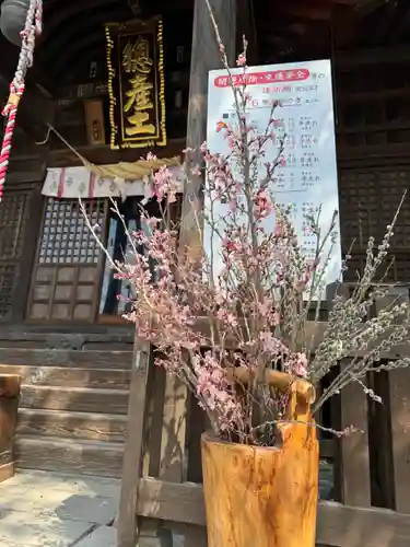 阿邪訶根神社の御朱印