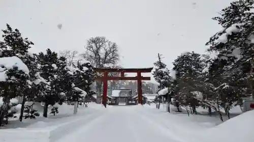 北海道護國神社の鳥居