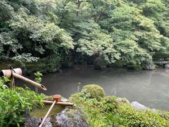 蓮華寺(洛北蓮華寺)(京都府)