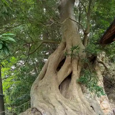 春日神社(神奈川県)
