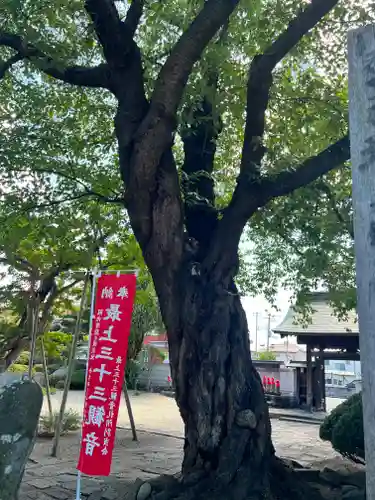 圓應寺(山形県)