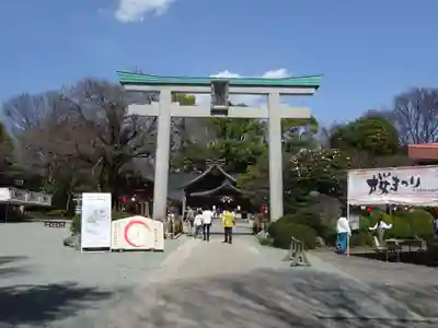 出雲大社相模分祠の鳥居