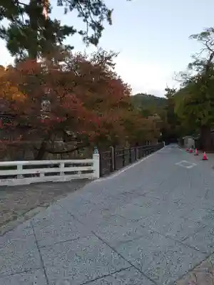 出雲大社(島根県)