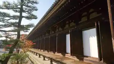 蓮華王院(三十三間堂)の本殿・本堂