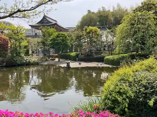 龍澤山祥雲寺の庭園