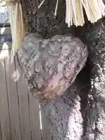 小室浅間神社の自然