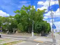 長良八劔社の自然