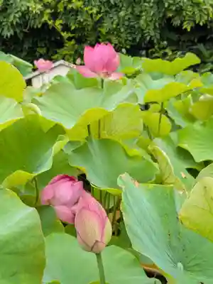 長善寺(東京都)