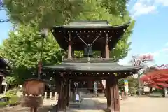 飛騨国分寺(岐阜県)