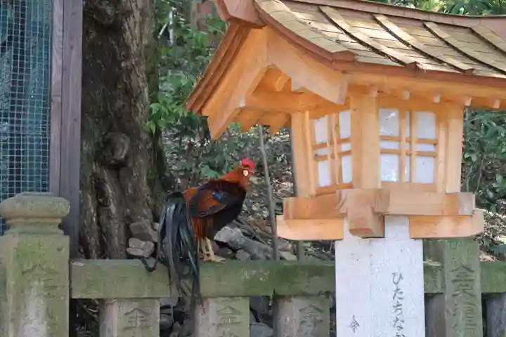 大甕神社(茨城県)