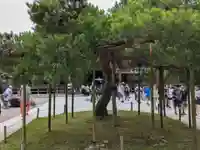 中尊寺金色堂(岩手県)