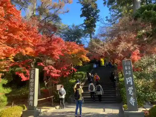 円覚寺(神奈川県)