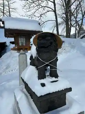 札幌諏訪神社の狛犬