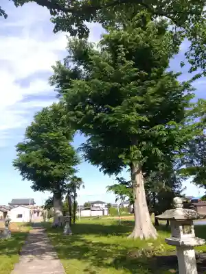 白山神社の{uncategorized: "未分類", other: "その他", undefined: "問題あり", building: "その他建物", grave: "お墓", sacred_gate: "鳥居", guardian: "狛犬", statue: "像", buddha: "仏像", history: "歴史", nature: "自然", garden: "庭園", animal: "動物", pagoda: "塔", temizu: "手水舎", mountain_gate: "山門・神門", sanctuary: "本殿・本堂", subordinate: "末社・摂社", art: "芸術", scenery: "景色", jizo: "地蔵", ema: "絵馬", goshuin: "御朱印", omikuji: "おみくじ", items: "授与品その他", amulet: "お守り", goshuincho: "御朱印帳", eats: "食事", festival: "お祭り", votive_dance: "神楽", shichigosan: "七五三参", wedding: "結婚式", experience: "体験その他", initially: "初詣", around: "周辺", anti_infection: "感染症対策"}